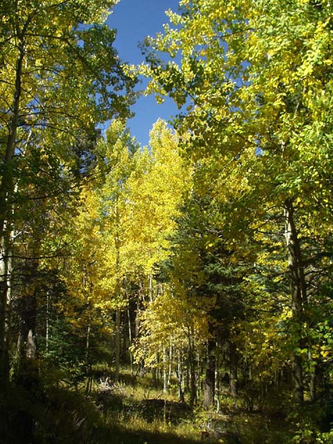 P9280059