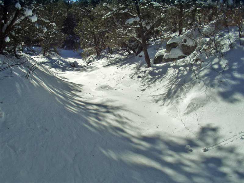 6C21P023