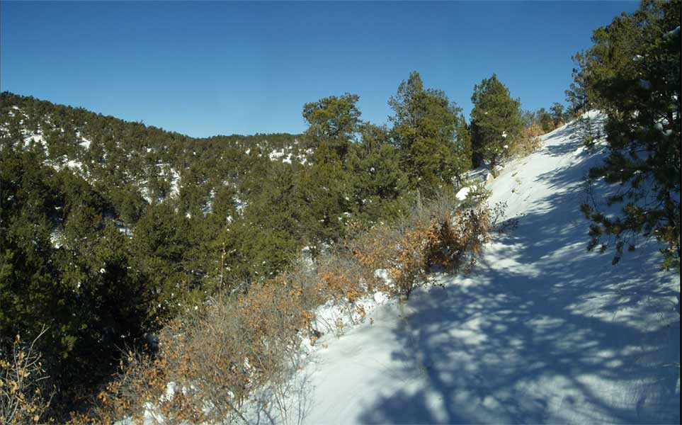6C21P032-34