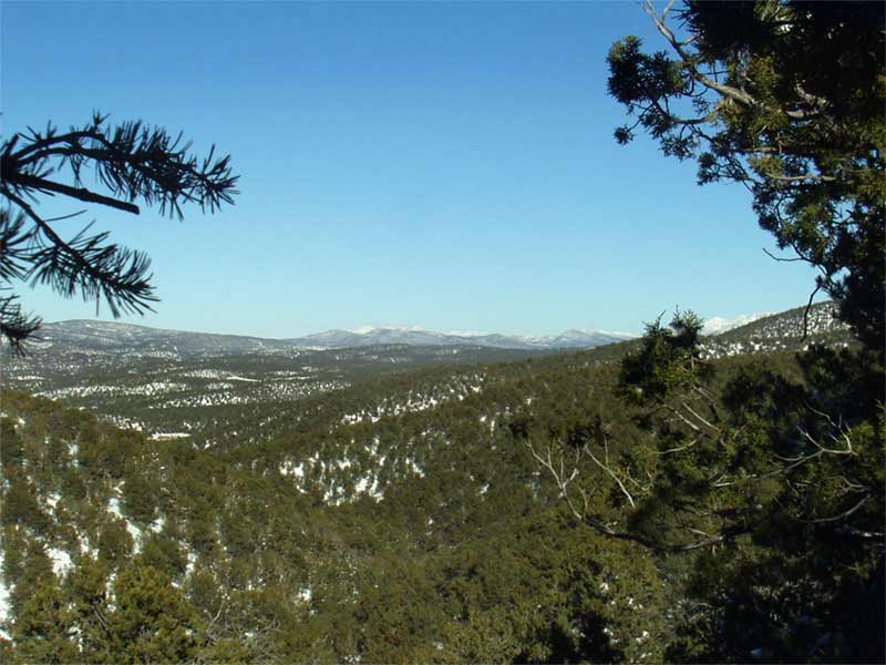 6C21P043