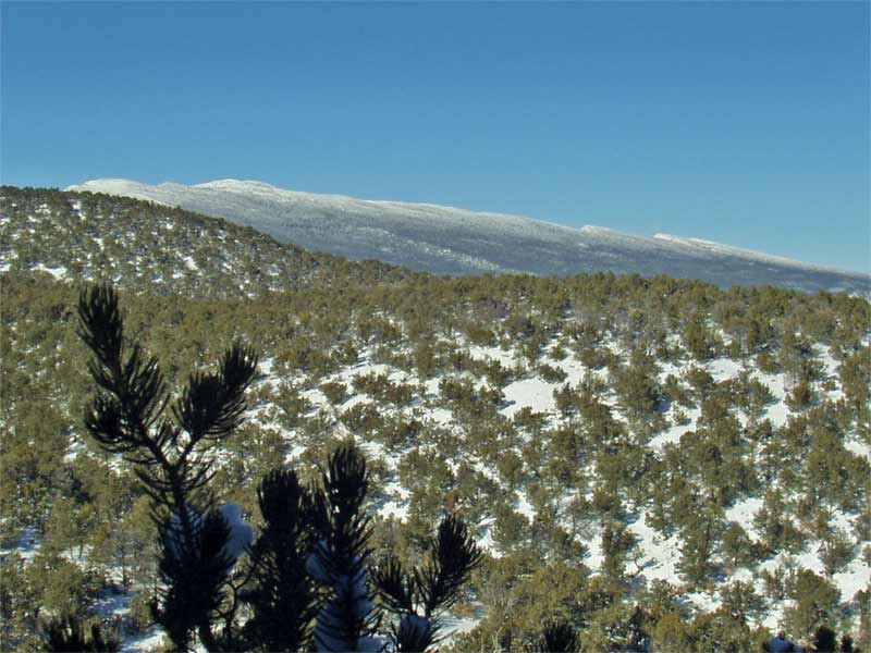 6C21P046