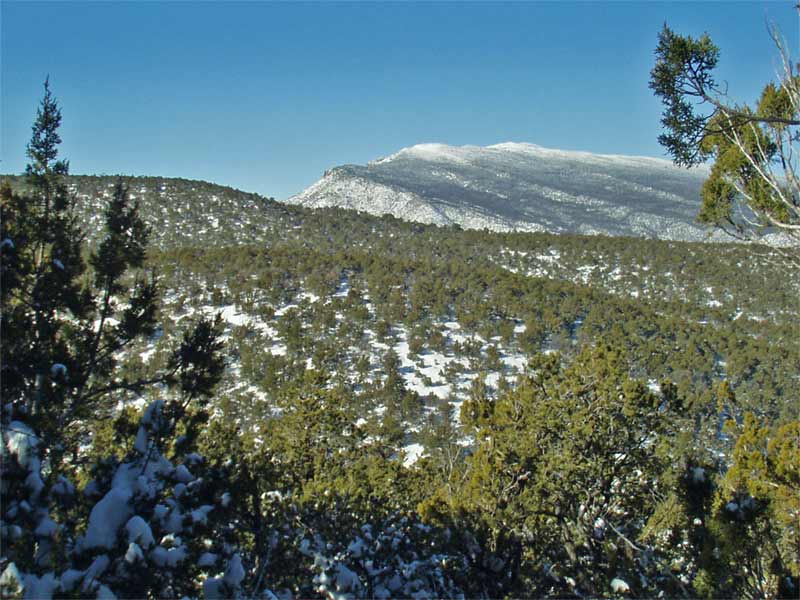 6C21P051