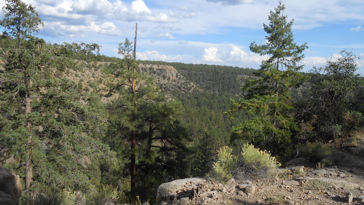 Fall Trips 2019 Jemez Mountains