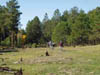 PA180020