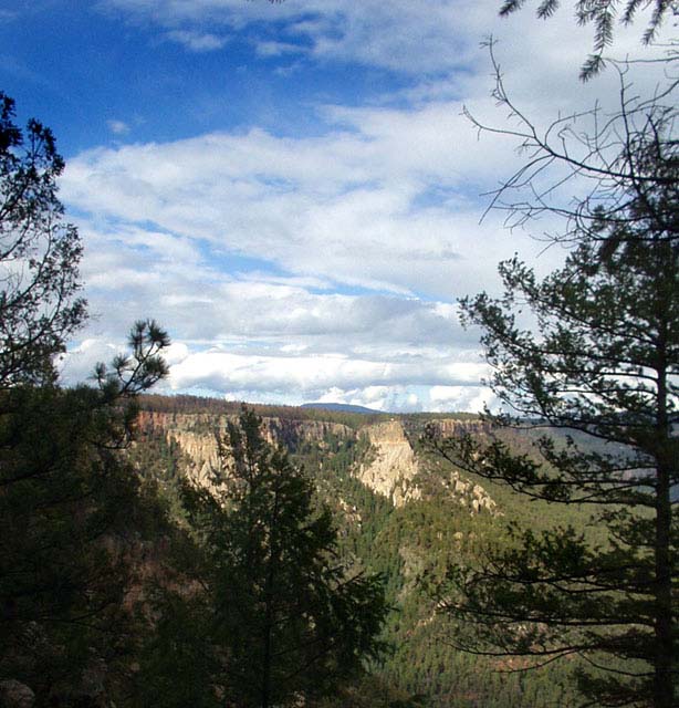 PA040026.c