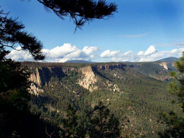 PA040038