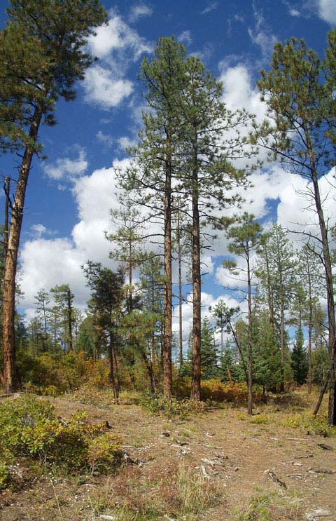 PA050051-53