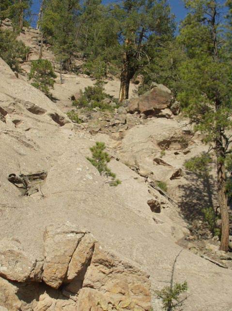 PA050242