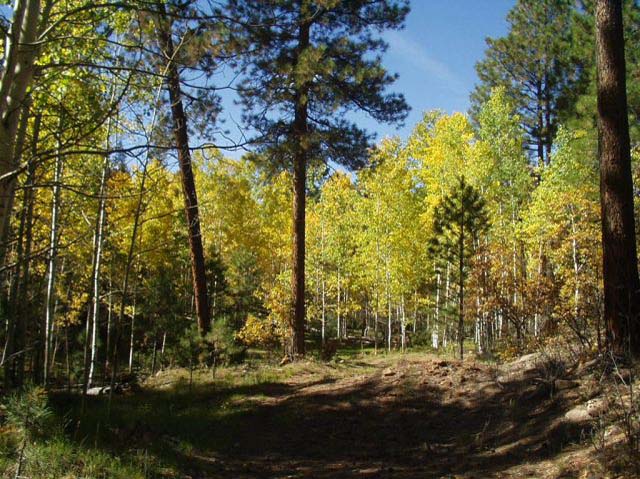 PA060001