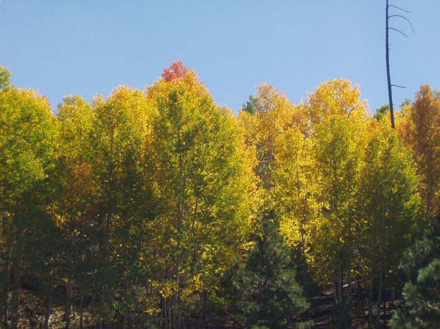 PA060029