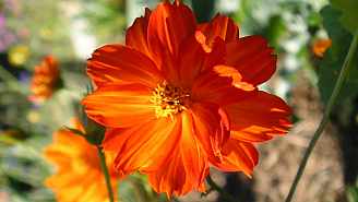 8822018.jpg 8822018.jpg