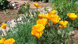 9510010.jpg 9510010.jpg