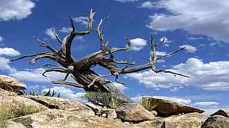 A609CIMG7330.jpg A609CIMG7330.jpg