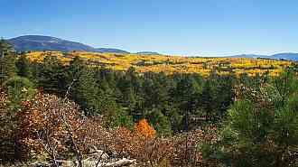 P3A19032.jpg P3A19032.jpg