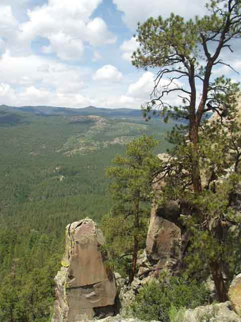 P8160209