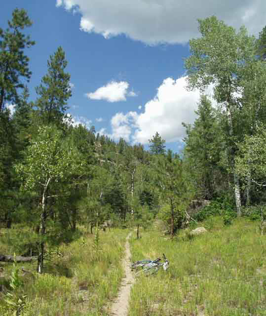 P8180170-171