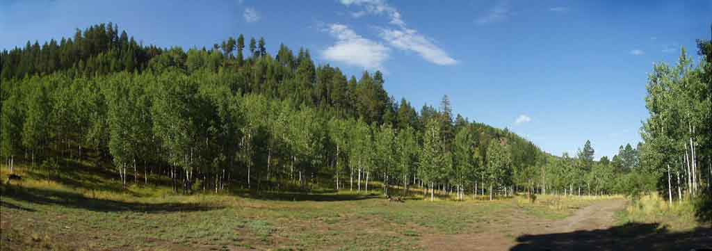 P8220020-23