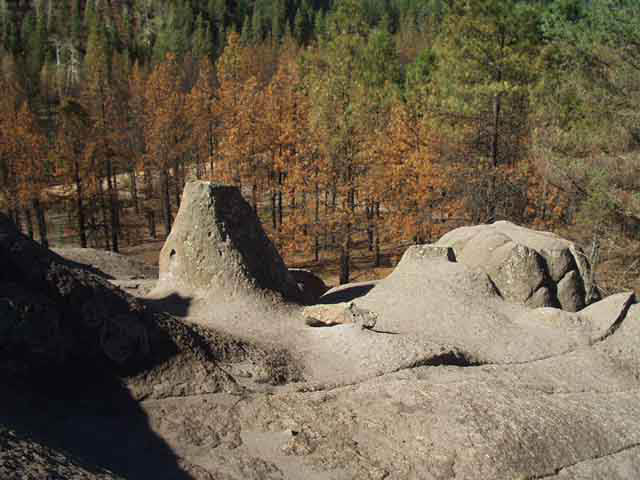P8220089