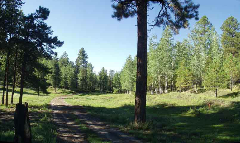 P8310010-12